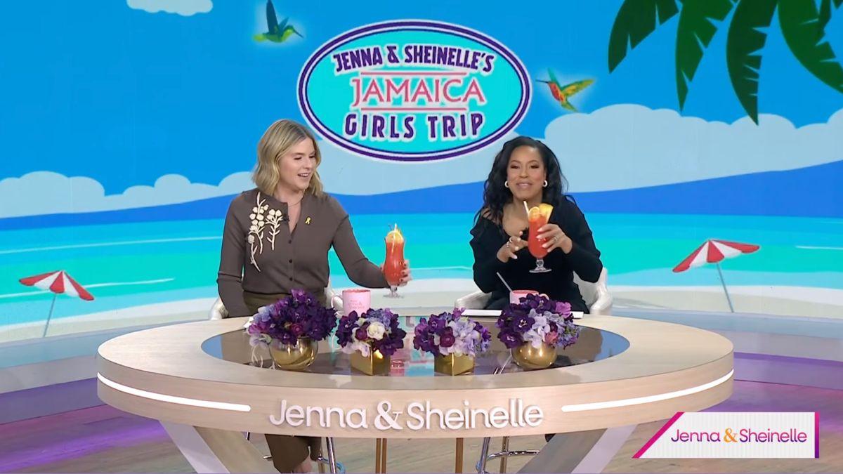 Image of Both Jenna Bush Hager and Sheinelle Jones are not fans of bikinis.