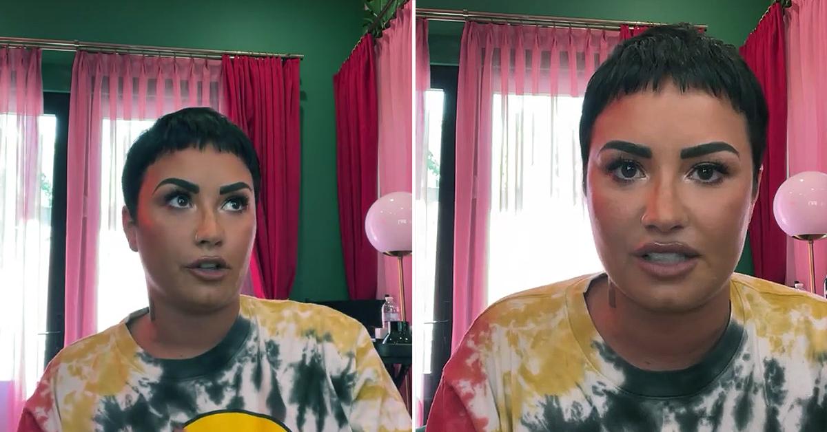 Demi Lovato Shocked Frozen Yogurt Shop Comment Backlash