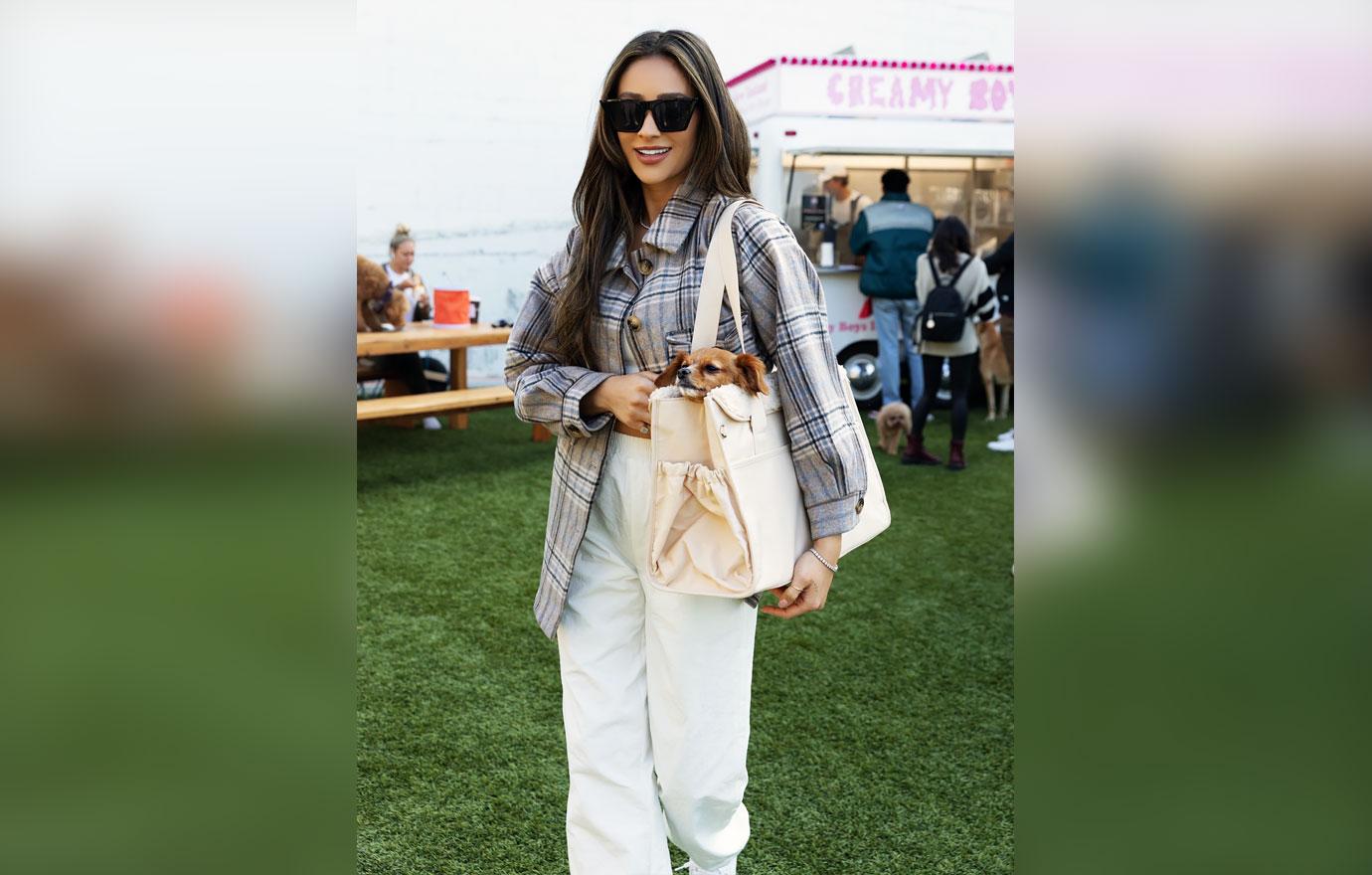 shay mitchell regulation pet carry on