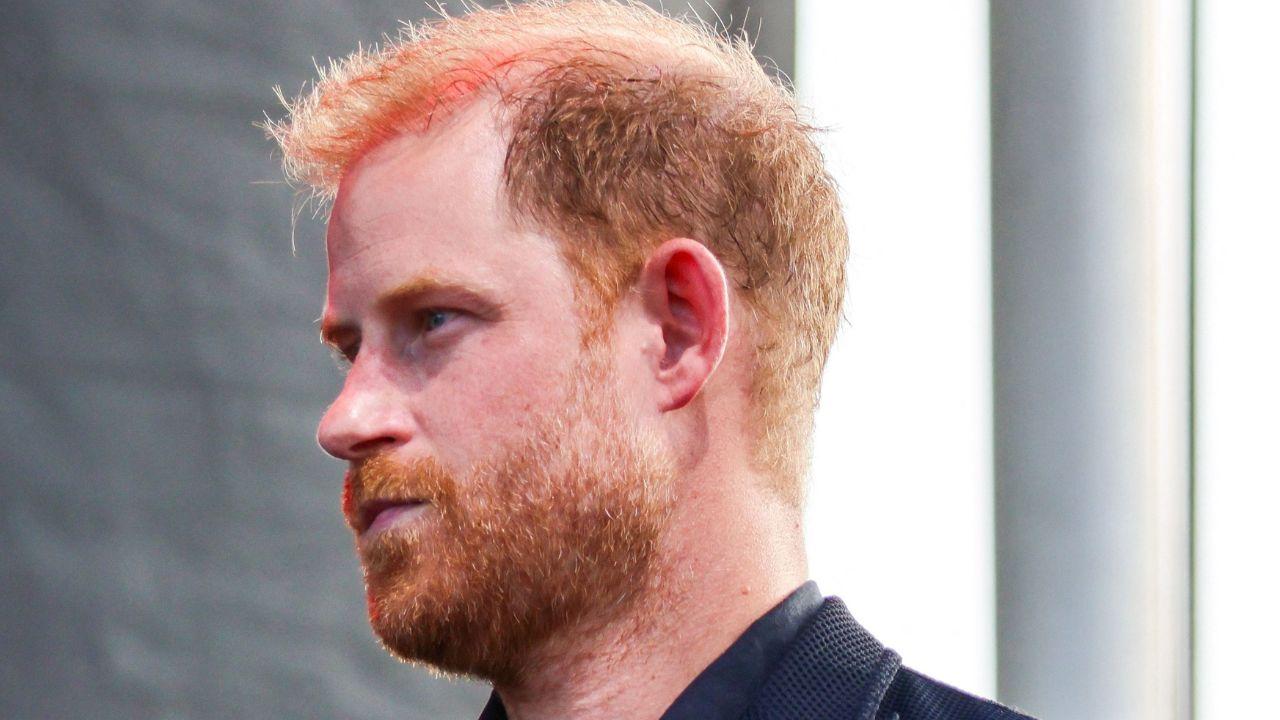 Prince Harry profile