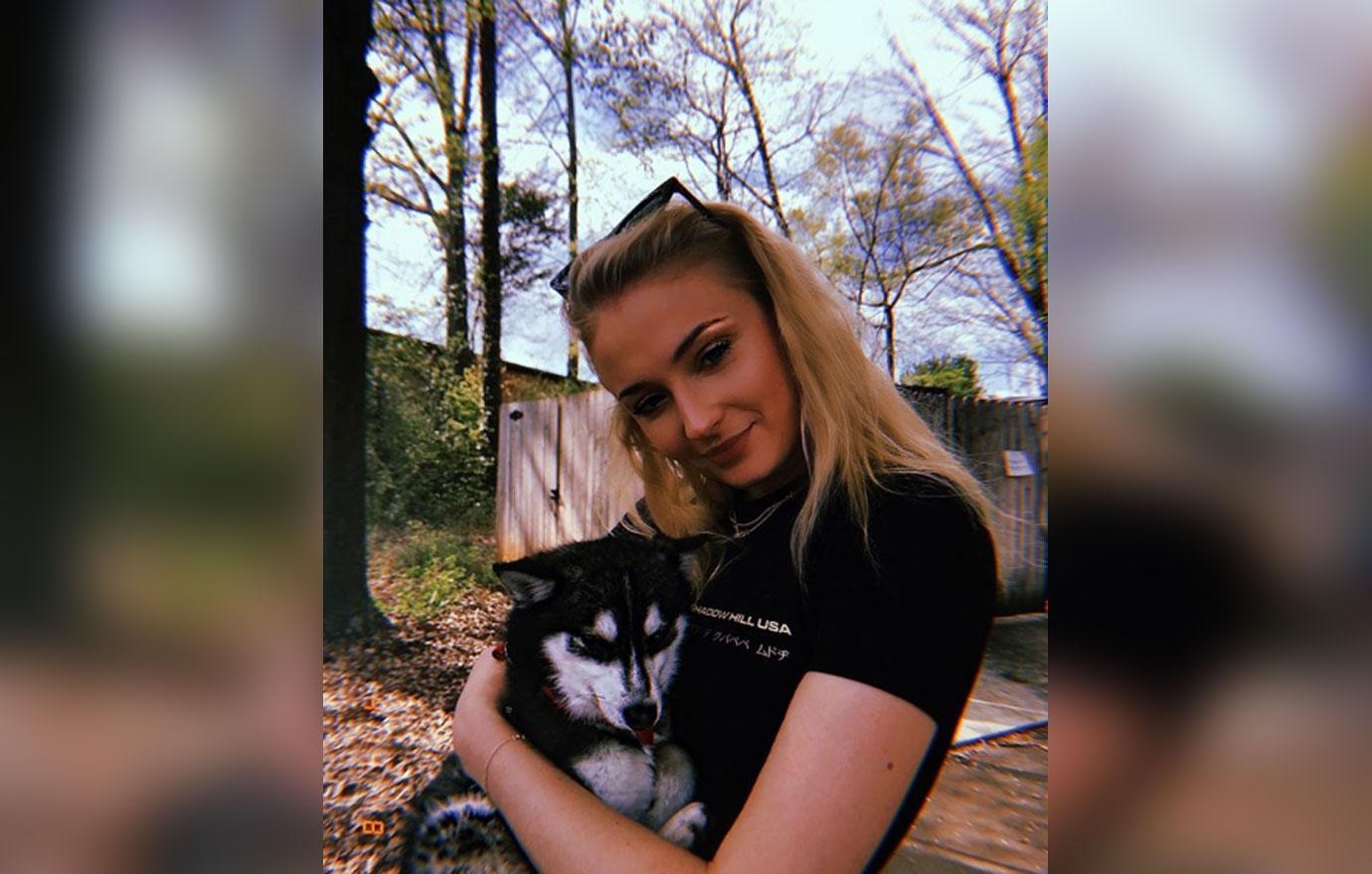 sophie turner joe jonas new puppy pics 01