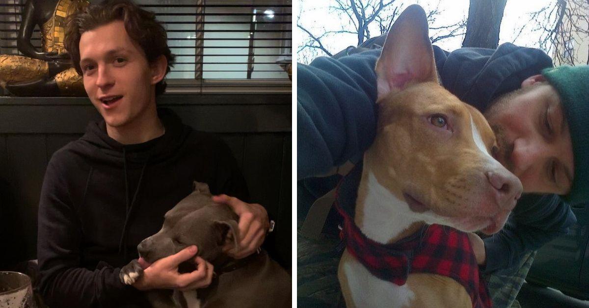 14 Most Adorable Moments of Celebrities With Their Dogs