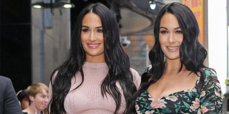 Brie Bella And Nikki Bella Show Off Post-Partum Bodies: Photos