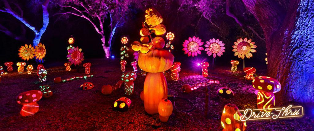 'Nights Of The Jack' Halloween Jack O'Lantern Celebration Returns