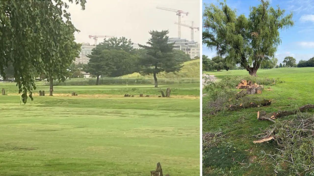 Image of Two golfers sued the government over felling trees indiscriminately to advance their plans to rebuild the golf course.