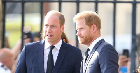 prince harry feels prince william doesnt resemble princess diana