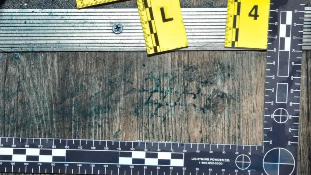 image of Bryan Kohberger left a Vans shoe print outside Dylan Mortensen door.