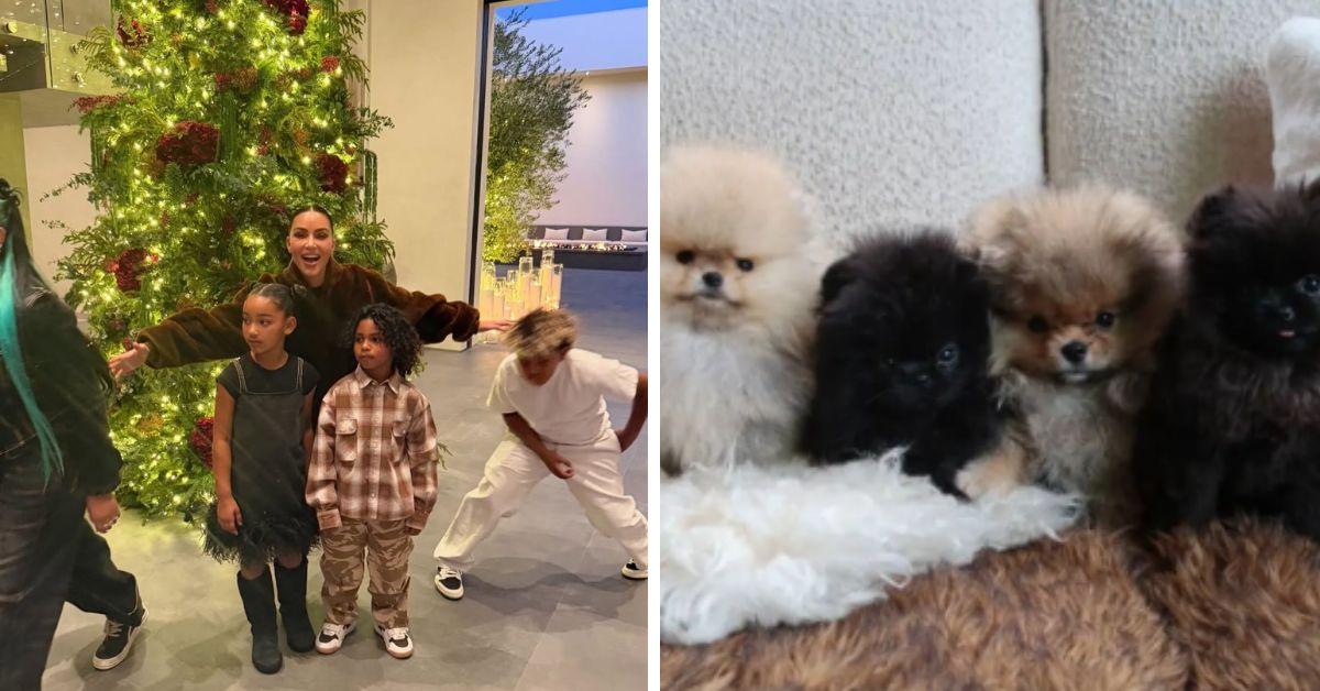image of Kim Kardashian gifted her kids four puppies for Christmas.