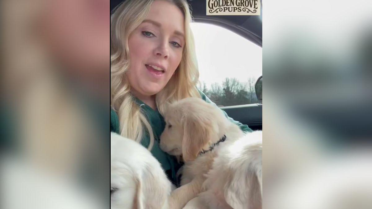 image of Anna Duggar's husband, Josh, is behind bars. 