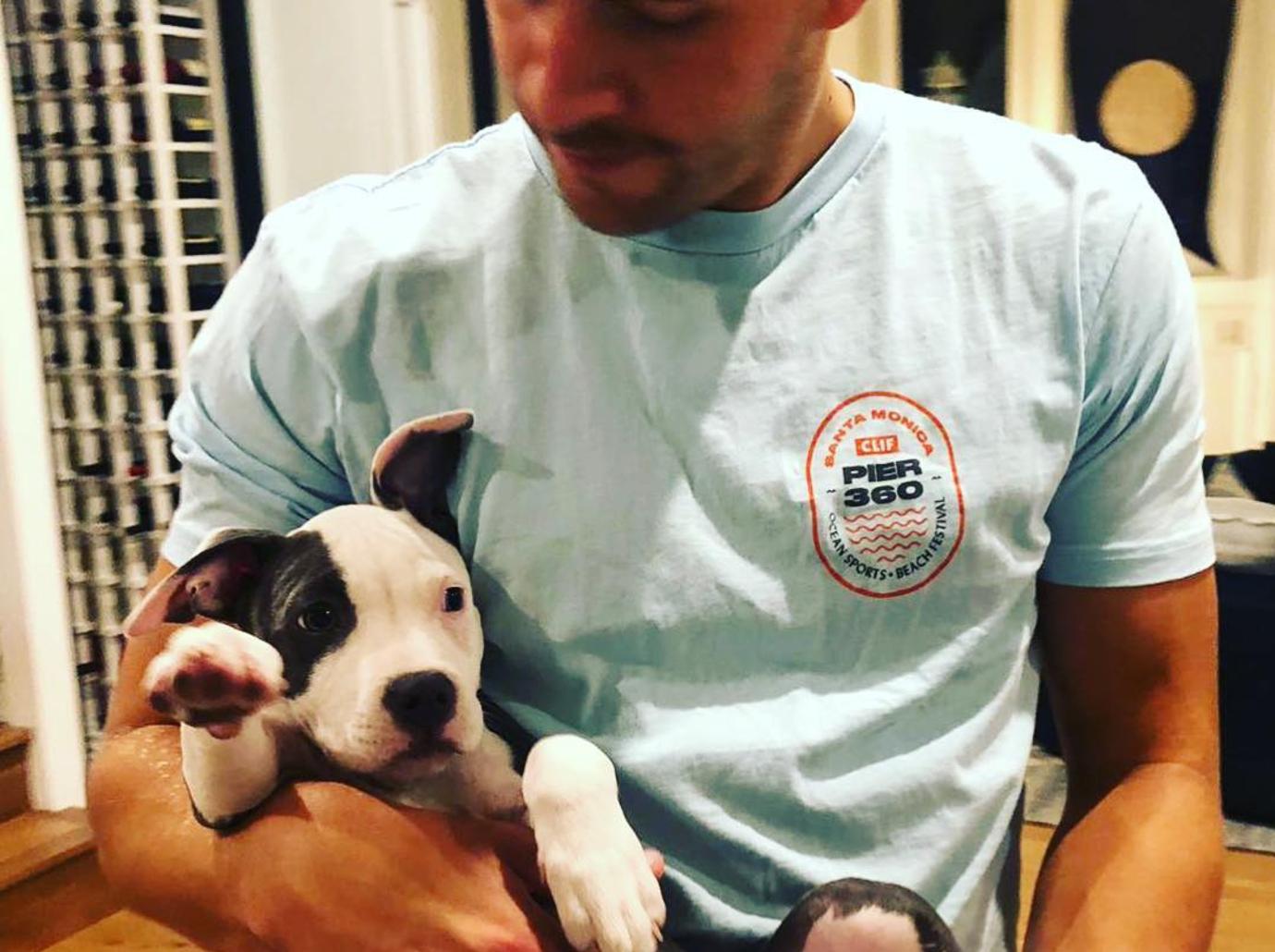 margot robbie dog husband ig