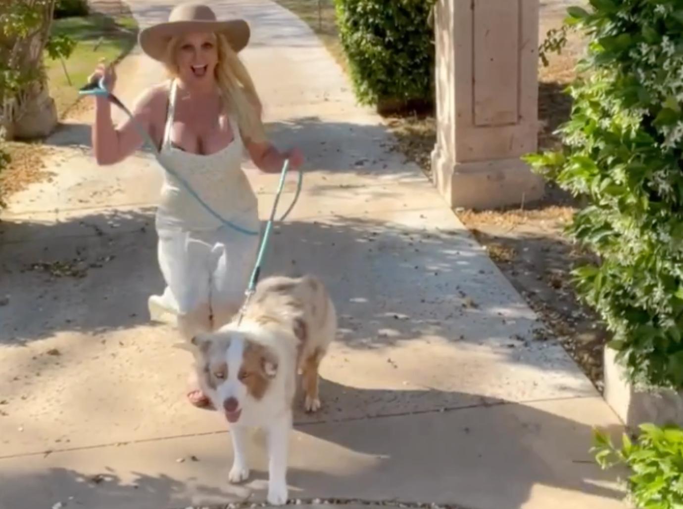 britney spears negelcting taking care dogs vet emergency