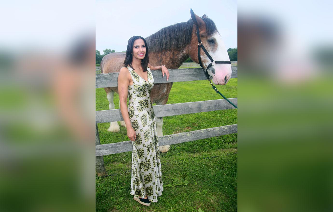 Padma lakshmi gorgeous green dress james beard honor 7