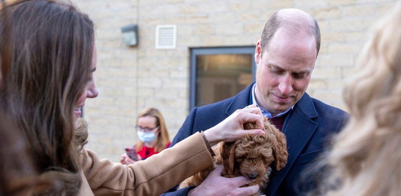 prince william reveals dog sleeps bed kate middleton