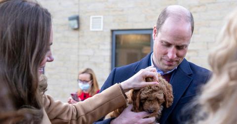 prince william reveals dog sleeps bed kate middleton
