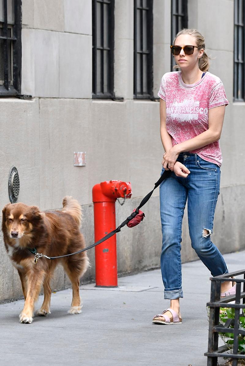 Amanda Seyfried seen with a ring on her ring finger while walking her dog Finn in New York City