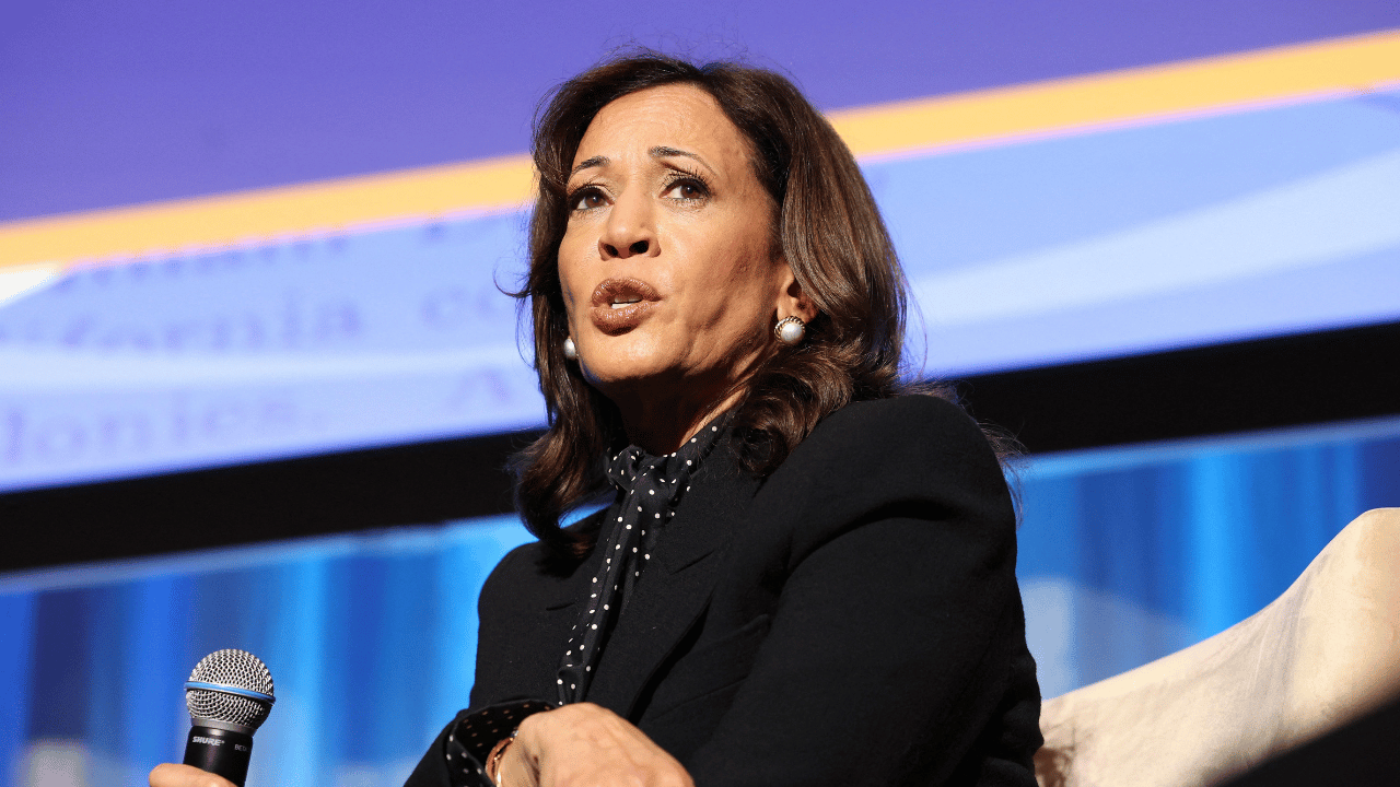 Image of Kamala Harris was criticized by a former Biden aide.