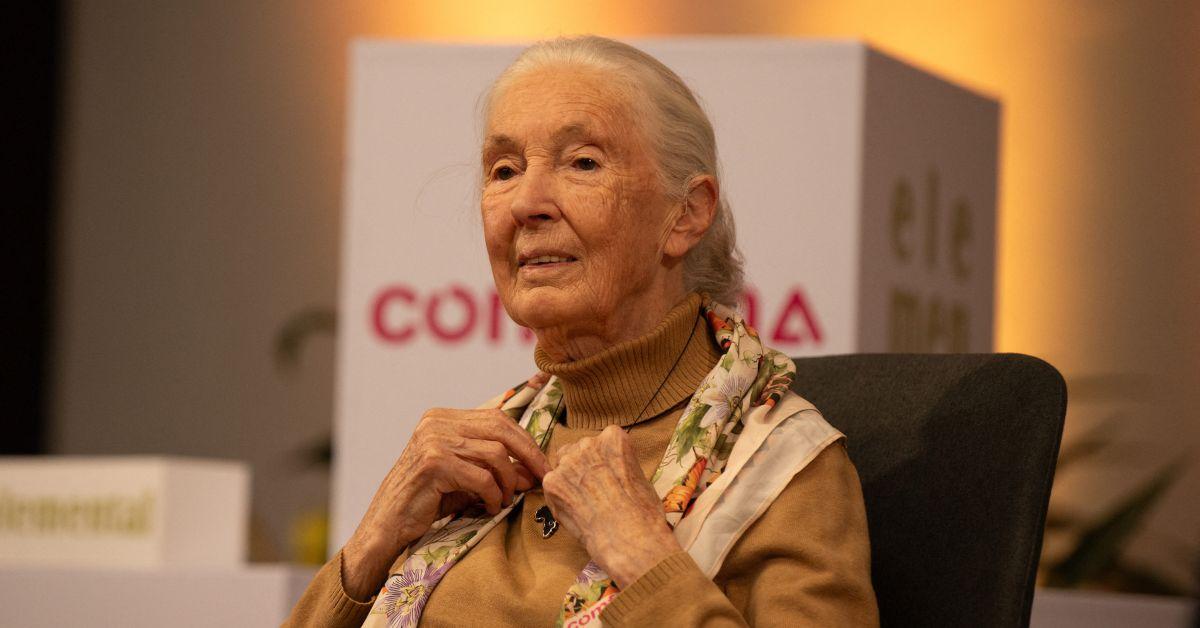 jane goodall family husband sibling son