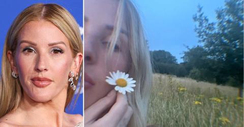 Composite photo of Ellie Goulding on the red carpet and Ellie Goulding in a field.