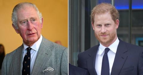 prince charles prince harry climate change essay peace offering
