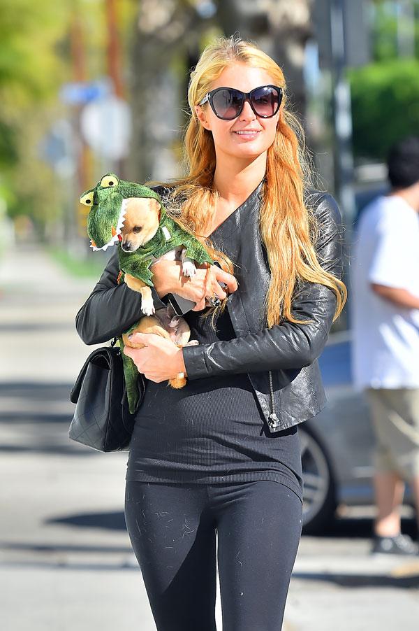 Paris Hilton dresses her poor dogs up for Halloween