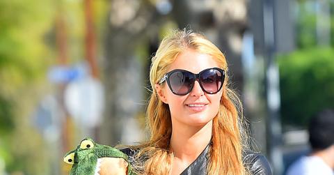 Paris hilton lizard 3