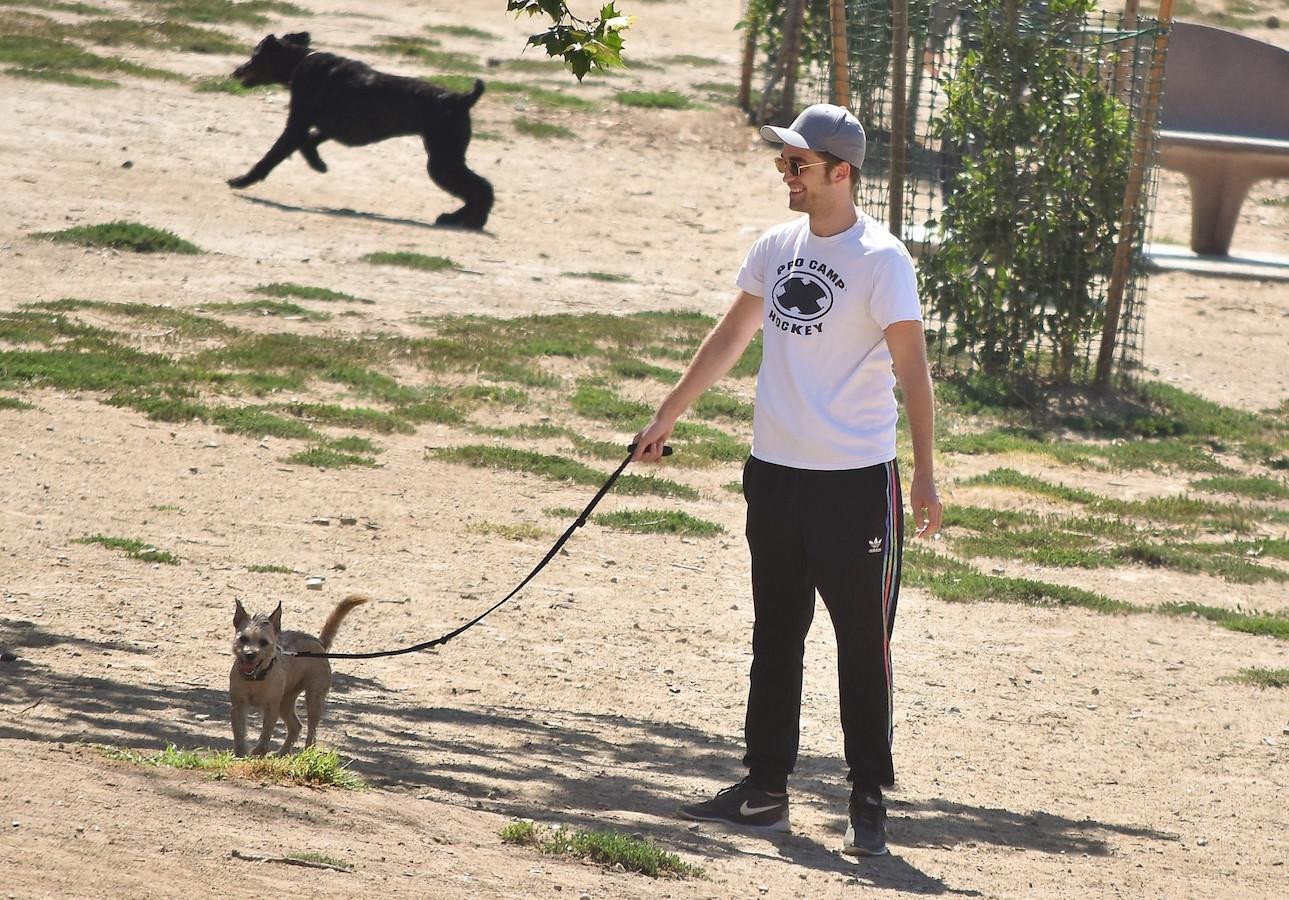 *EXCLUSIVE* Robert Pattinson walks his dog at the Laurel Canyon Dog Park