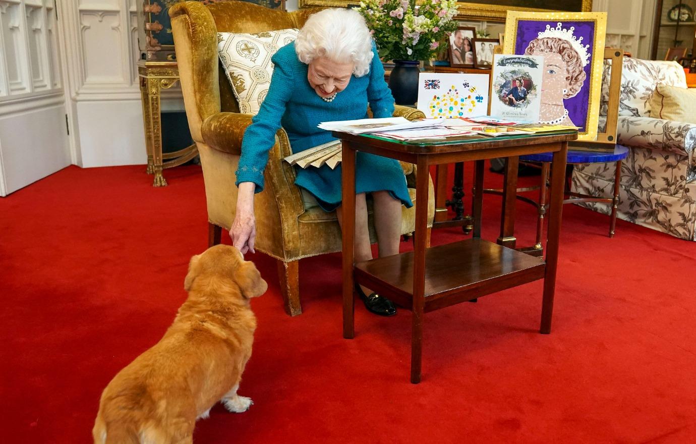 frail queen elizabeth cant walk corgis health declining