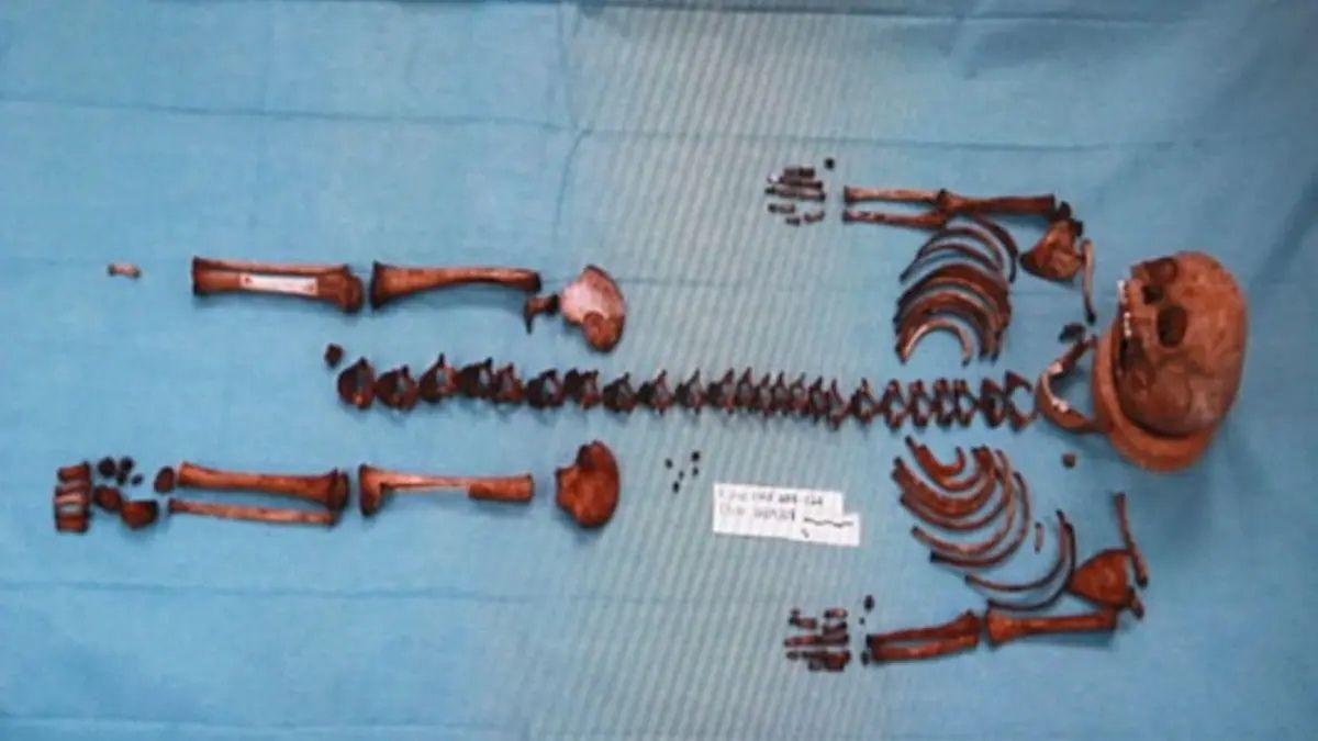 Photo of Caylee Anthony's skeletal remains were found in December 2008.