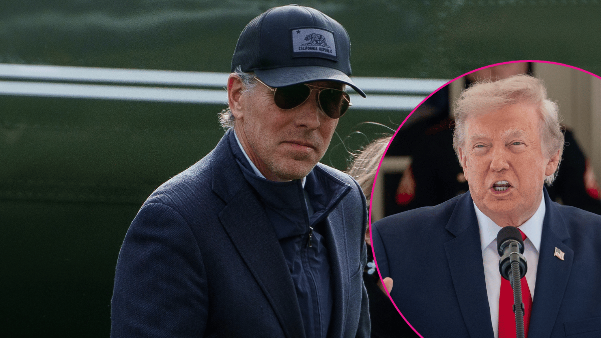 Hunter Biden Unleashes On Donald Trump In Curse Filled Rant Watch