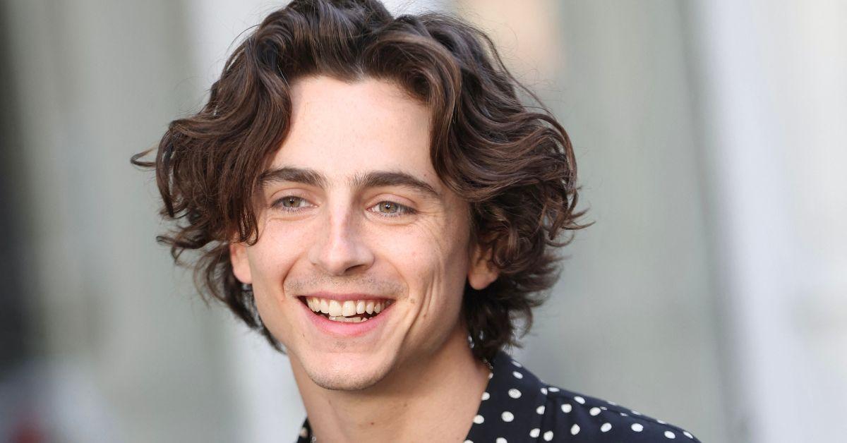 timothee chalamet