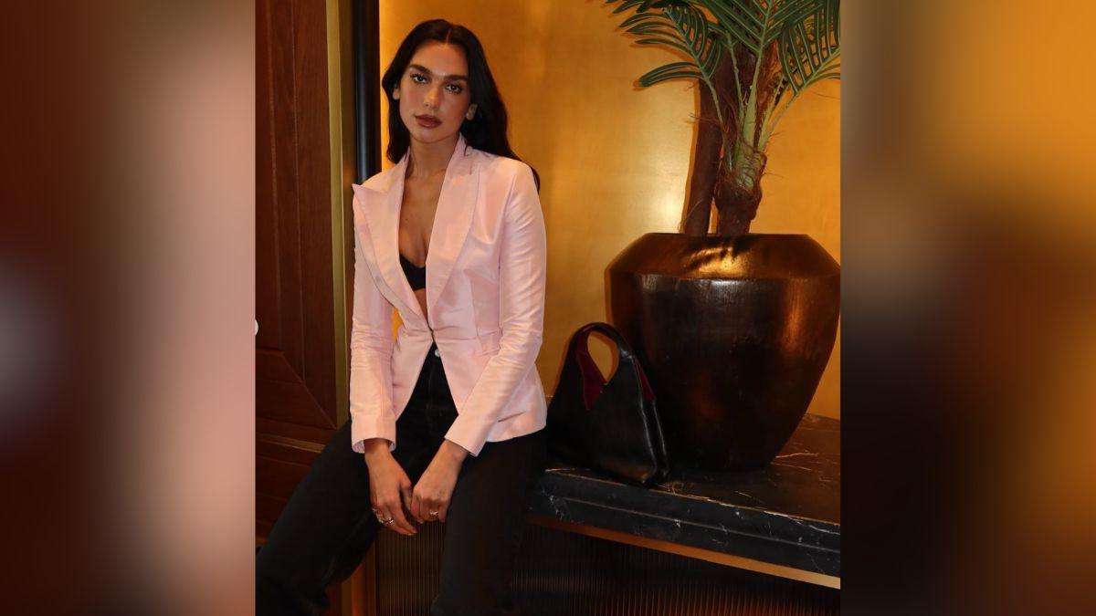 Image of Dua Lipa and Callum Turner recently vacationed in South Africa.