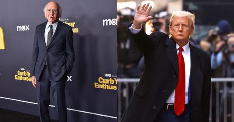 larry david unleashes donald trump