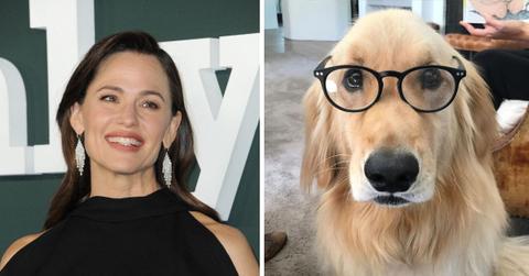 jennifer garner dog birdie dies years old