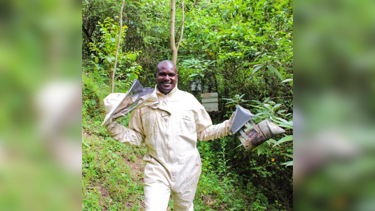 the quiet canadian driving a global pollinator rebirth