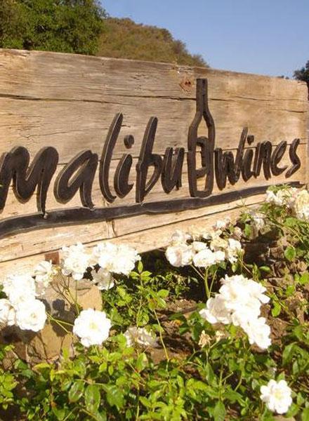 malibu-wines-adrienne