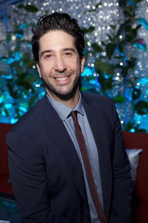 david schwimmer messed up personal life friends