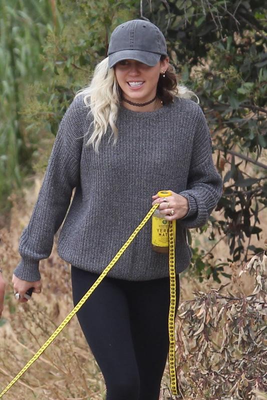 *EXCLUSIVE* Miley Cyrus takes her dog out for a hike with friend Wayne Coyne