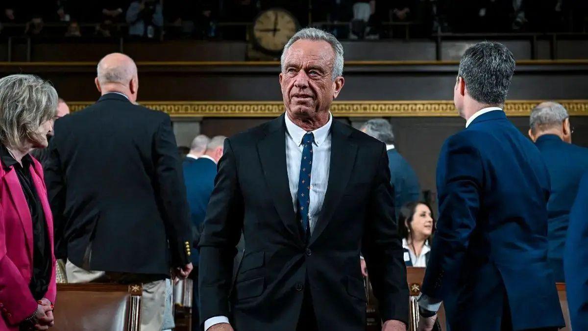 Photo of The politician and his friends thought their plan 'was a good idea.'