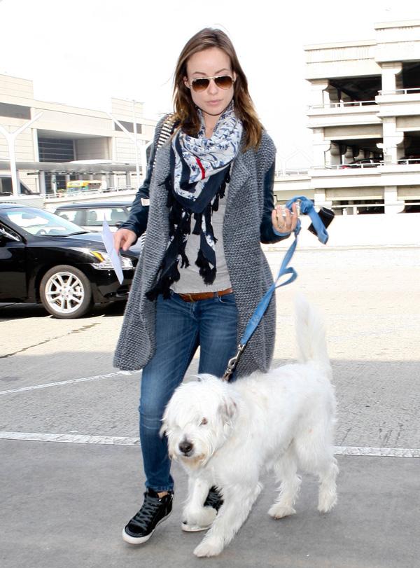 Olivia wilde dog paco