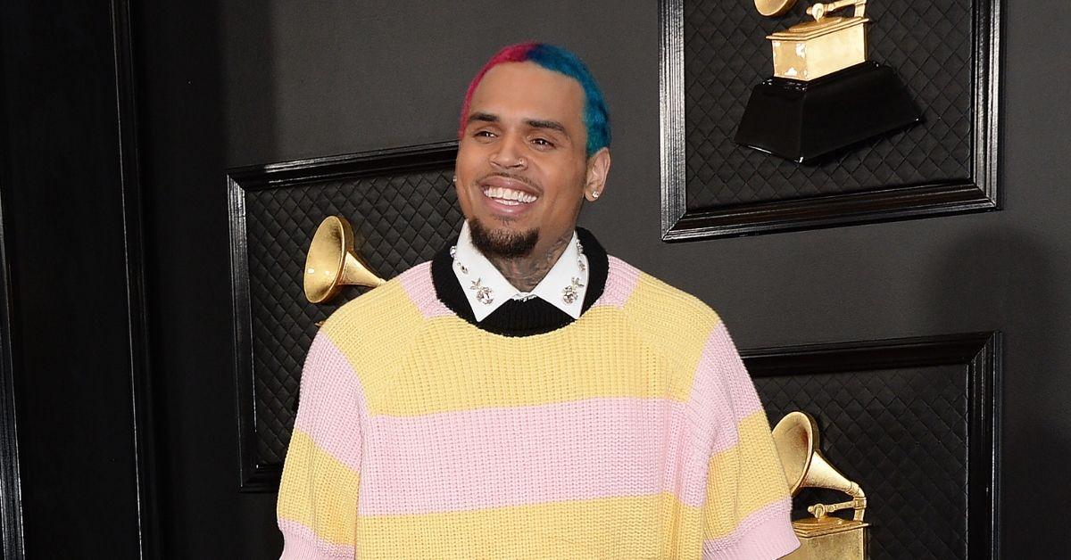 chris brown sued housekeeper dog attack