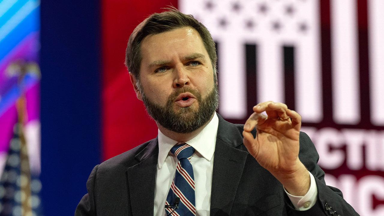 Image of Vice President J.D. Vance was also heckled by a woman who was reportedly punched by a MAGA rally-goer.