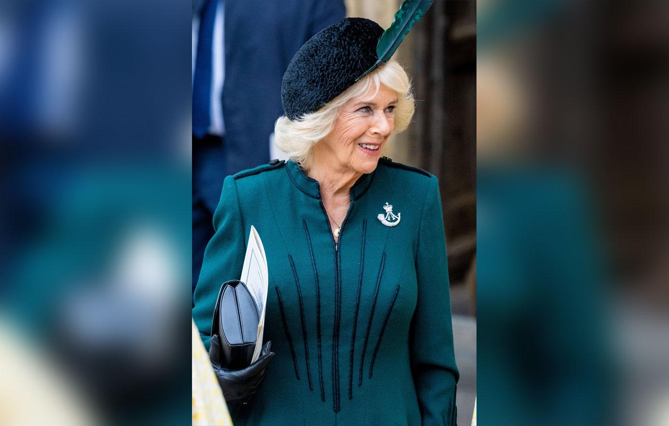 queen consort camilla was in quite a lot of pain right before queen elizabeth iis death