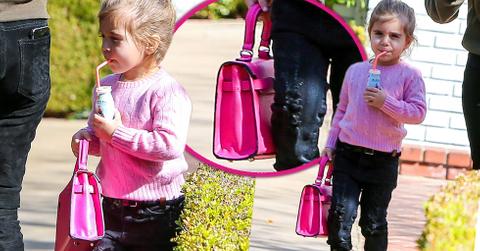 penelope disick birkin bag