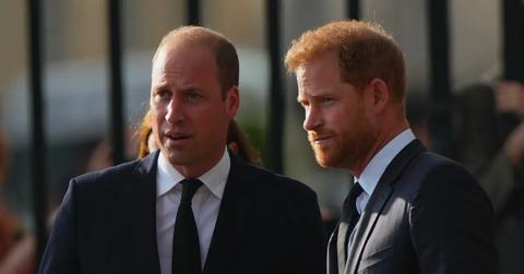 prince william prince harry