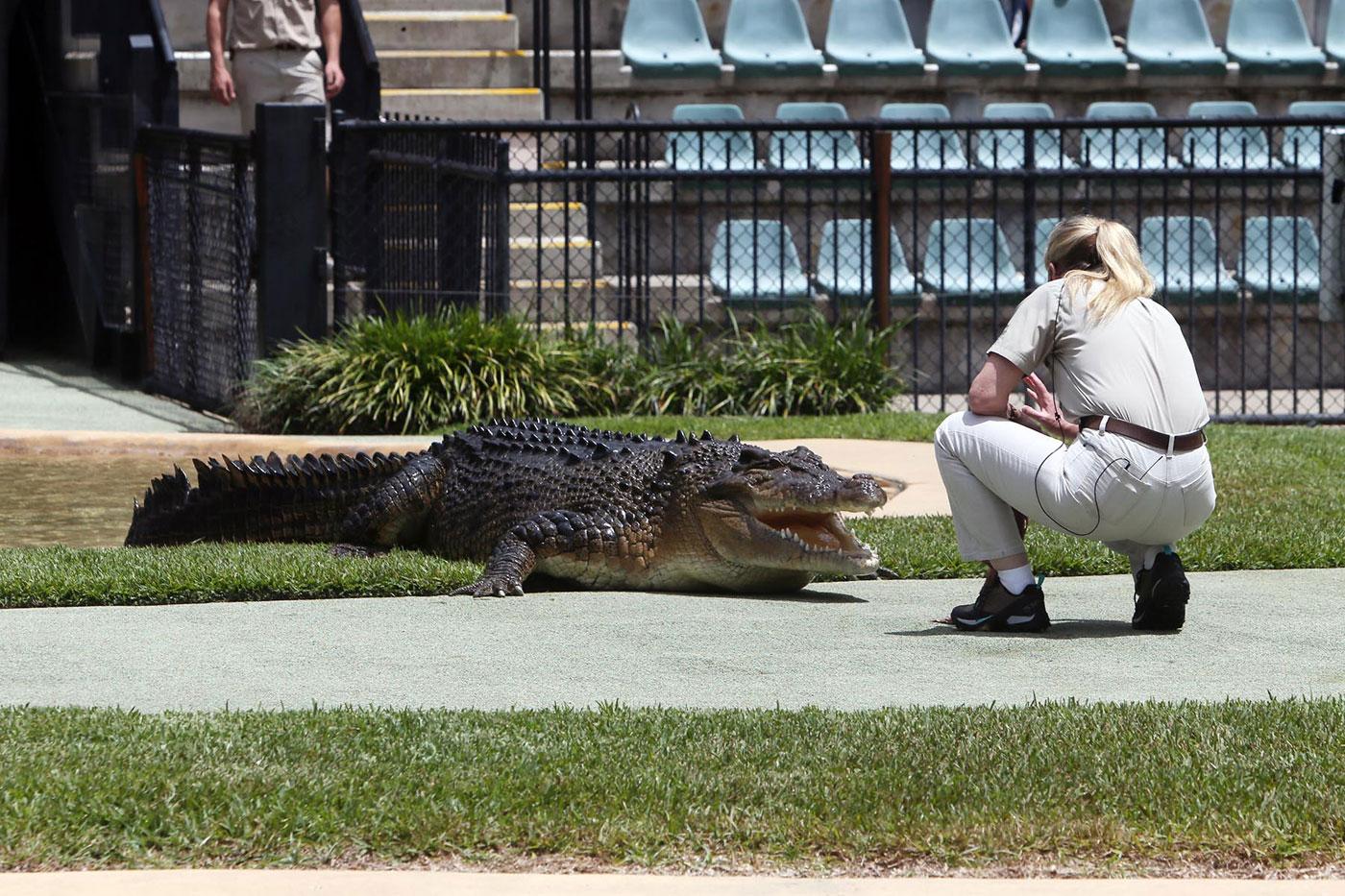 steve irwin day australia zoo terri bindi robert pics 08