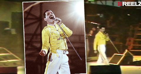 Freddie Mercury Team Ignored HIV Battle Death