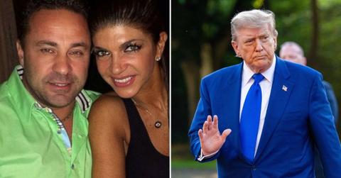 Composite photo of Joe Giudice, Teresa Giudice and Donald Trump