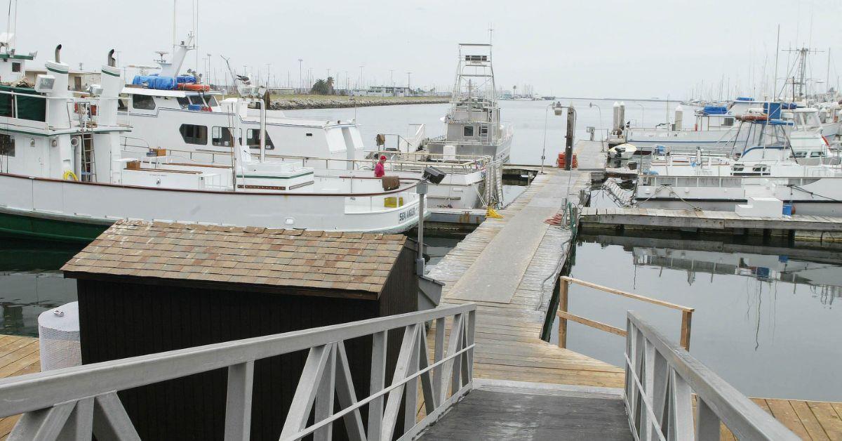 patrick mcdermott mysterious disappearance years ago what to know