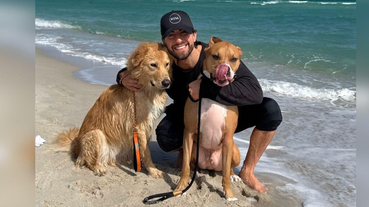 image of Jason Tartick met Kathryn Hurley through Wags & Walks Nashville. 