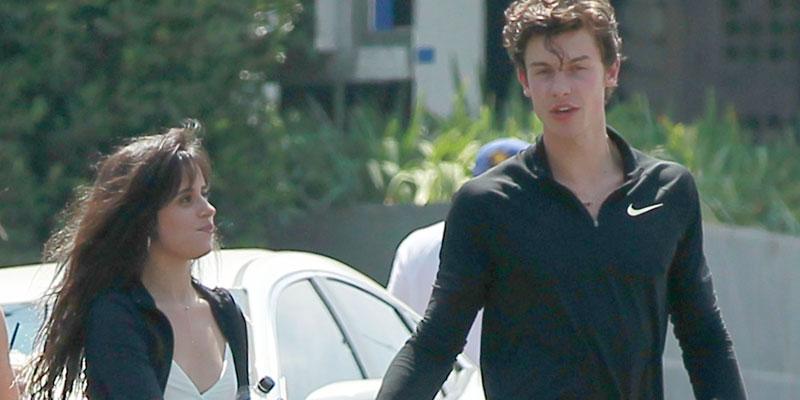 Shawn Mendes And Camila Cabello Hold Hands Dating